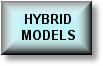 Hybrid Models